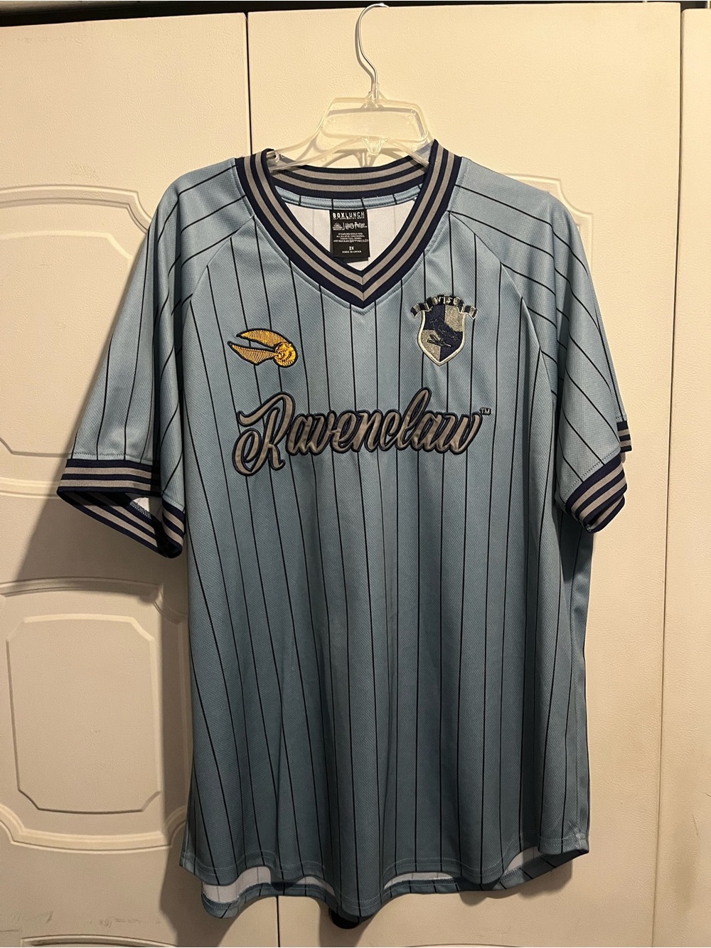 Harry Potter Ravenclaw Light Blue Pinstripe Short-Sleeve Fan Jersey